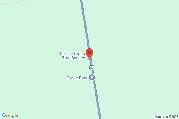 Spruce Green Tree Service