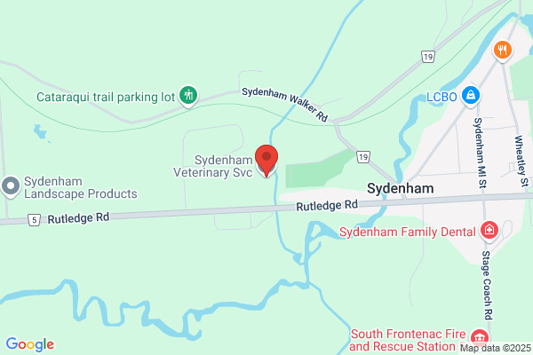 Sydenham Veterinary Services