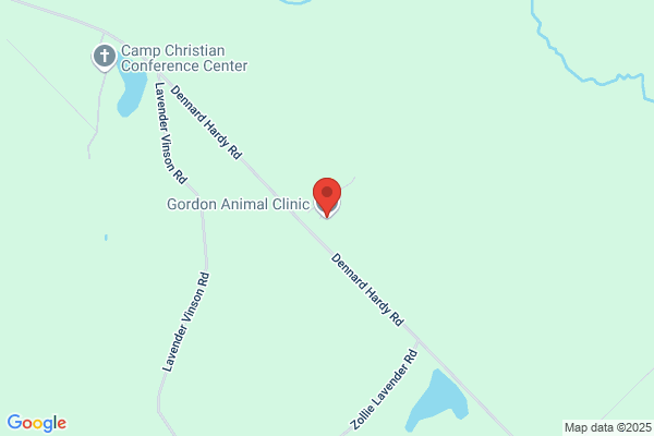 Stinson Gordon Dr Veterinarian