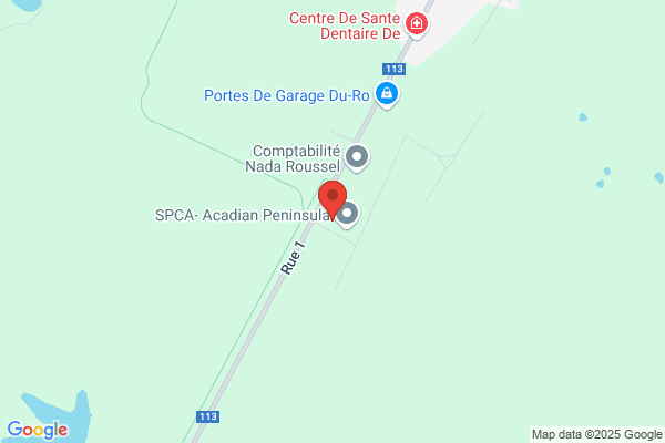 Location D'outils J E D Ltee