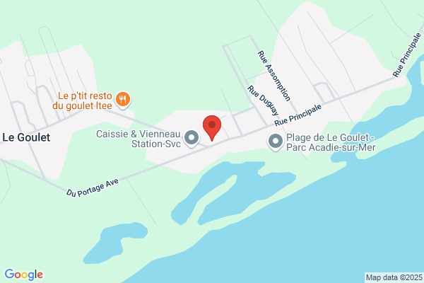 Salon J'ai Du Chien