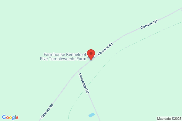 Boxwood Farm Kennels