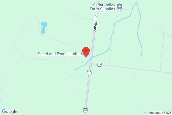 Steed and Evans Limited