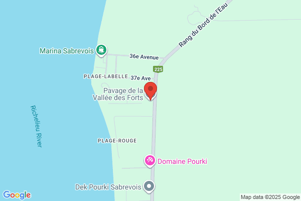 Pavage des Forts