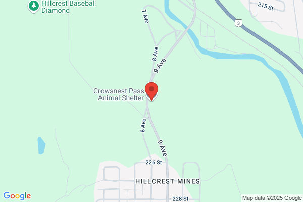 Crowsnest Pass-Veterinary Office