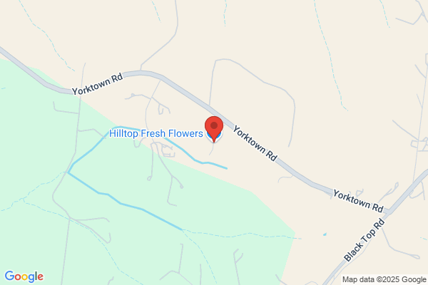 Hilltop Flower Farm