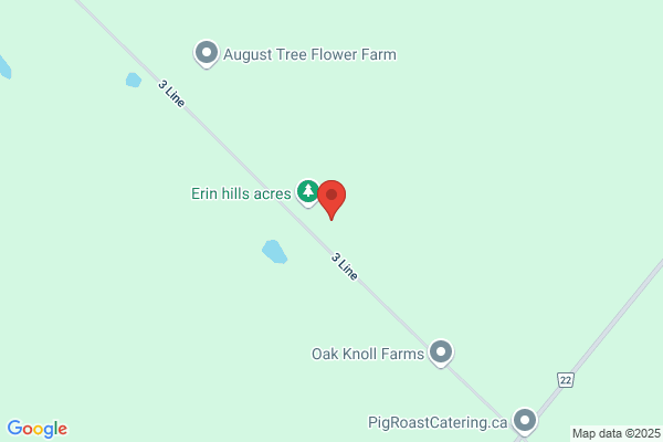 Wintersinger's  Christmas tree farm