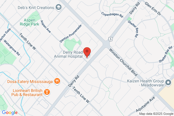 Derry Road Animal Hospital