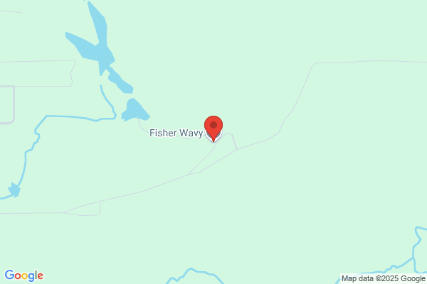 Fisher Wavy Inc