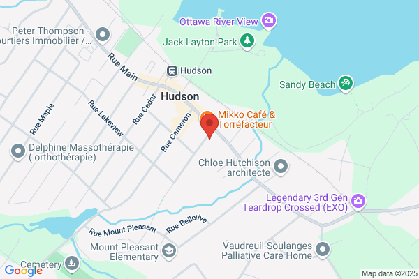 Aspirateurs Hudson