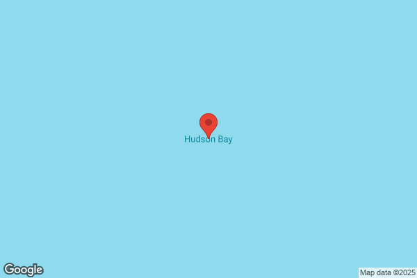 Hudson Bay Vet Services Ltd