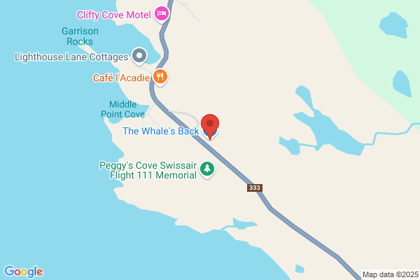 The Whale's Back