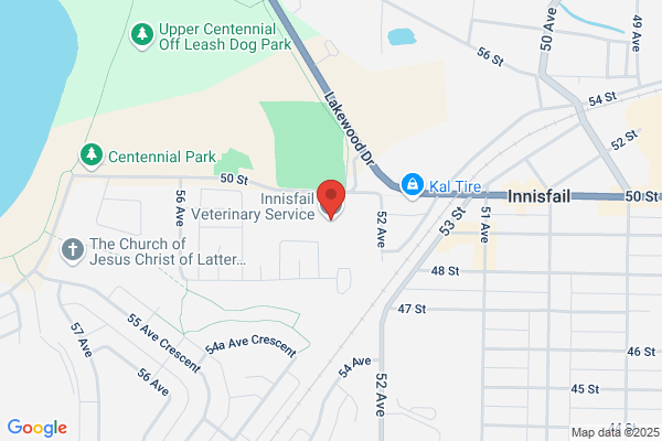 Innisfail Veterinary Service Ltd