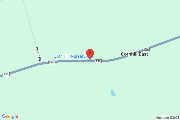 Cornhill Nursery Ltd