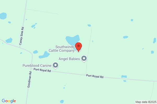 Sow Cow Farms Inc