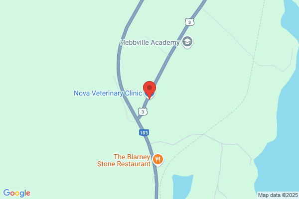 Nova Veterinary Clinic