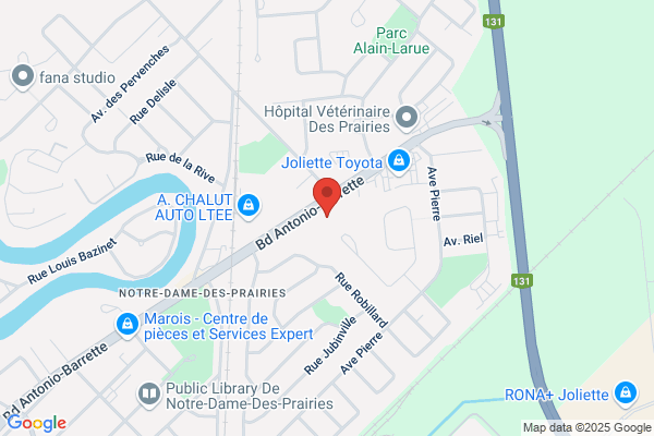 Services Informatiques Pau-Jean Inc Les