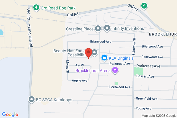 Present Solutions Inc