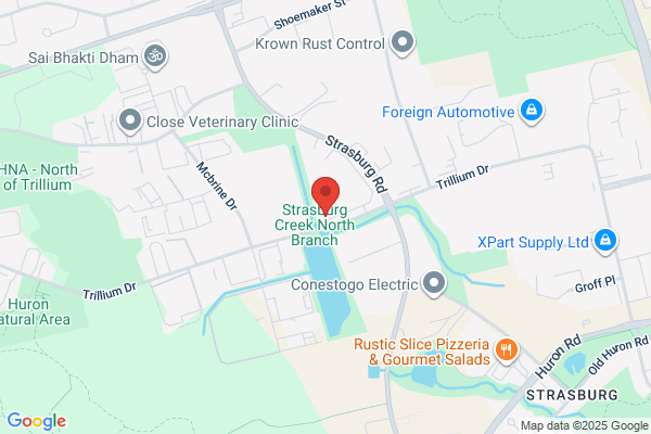 Canadian Bearings Ltd