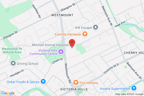 Mitchell Animal Hospital