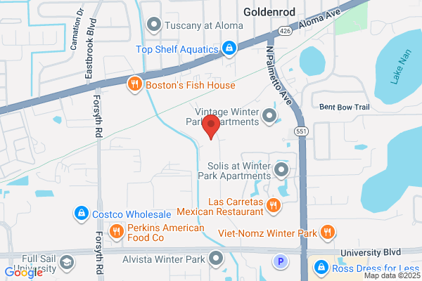 Control Microsystems Inc