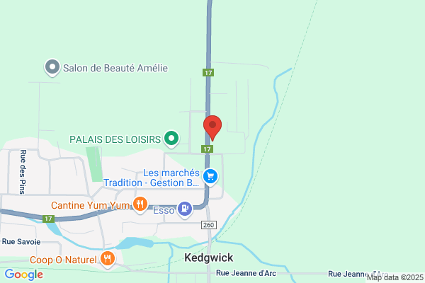 NAPA Auto Parts - Pièces d'Auto Savoie Langlois Ltée