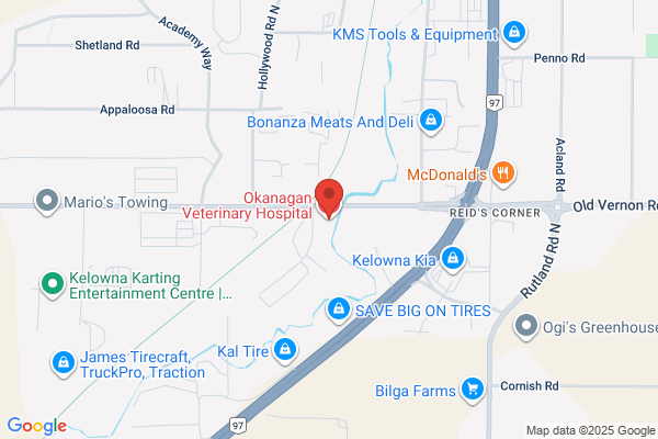 Okanagan Veterinary Hospital
