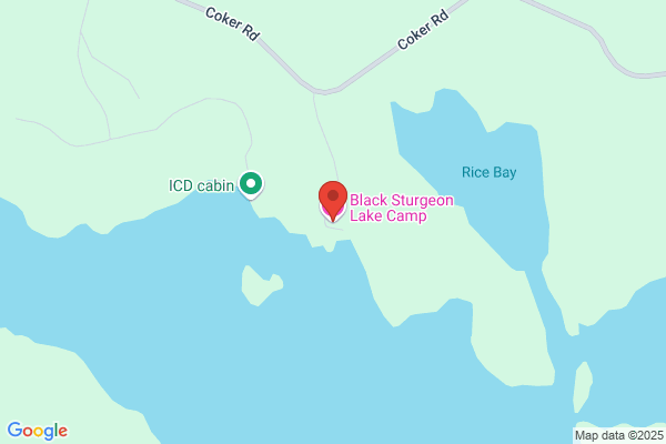 Black Sturgeon Lake Camp