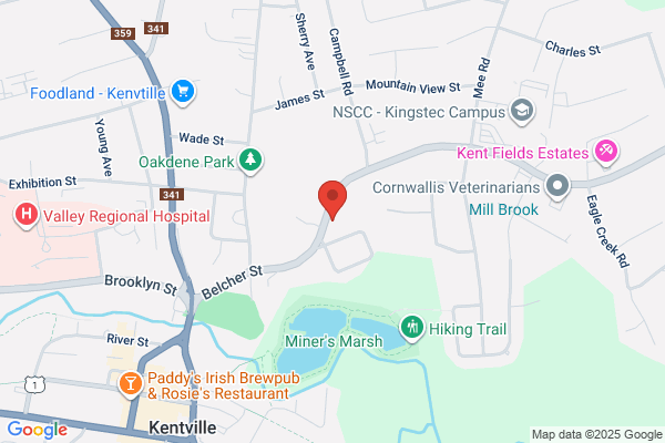 Davison Dorothy E Counselling Services