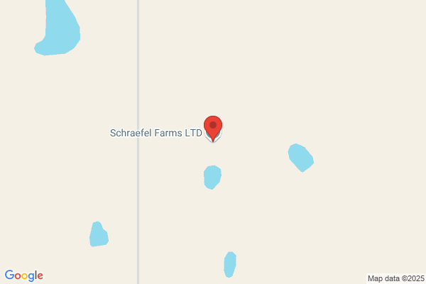 Bahm's Wheatland Farm