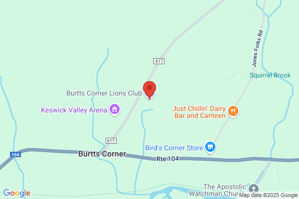 Burtt's Corner Lions