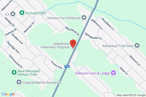 Islandview Veterinary Hospital