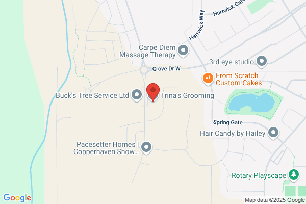 Trina West Dog Grooming