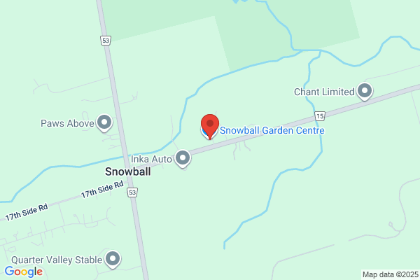 Snowball Mini Bins
