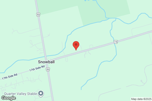 Snowball Mini Bins
