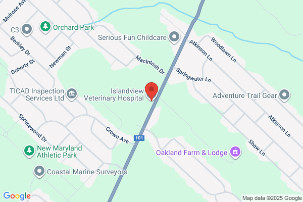 Islandview Veterinary Hospital