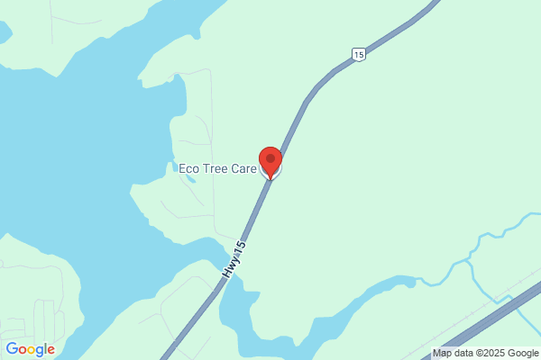 Eco Tree Care