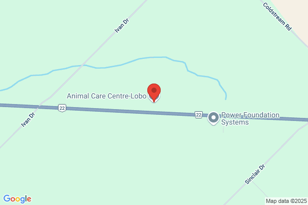 Animal Care Centre-Lobo
