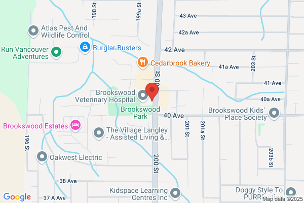 Lasercare Therapy