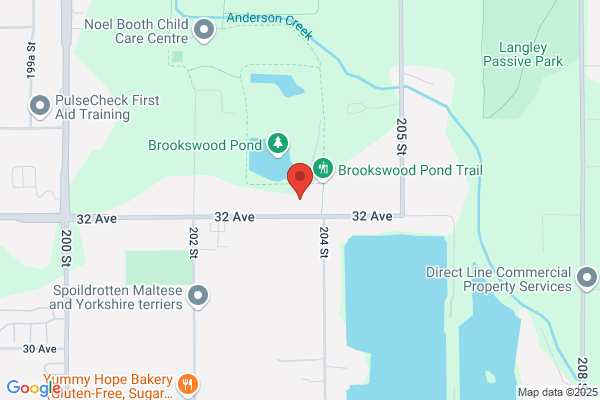 Langley Township, Fire