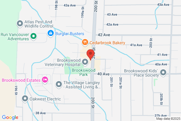 Domino's Pizza, Langley