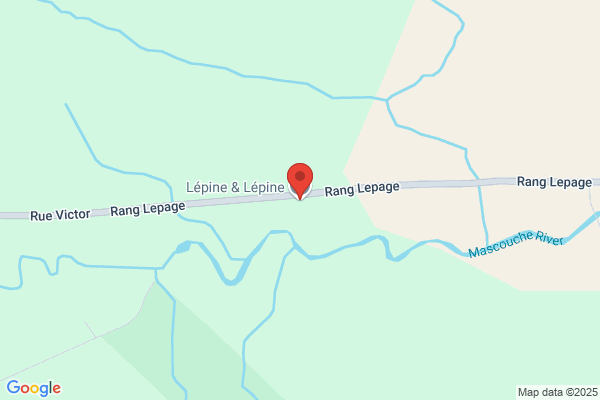 Entreprises R M Lepine Inc