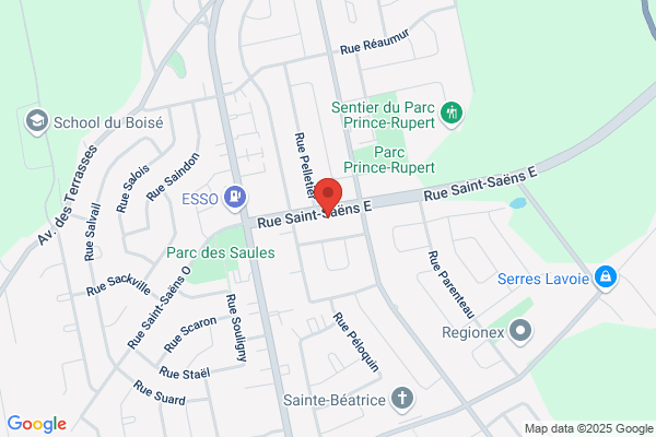 Assurances Michel Salmon Inc