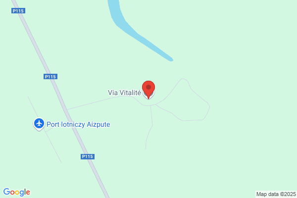 Services Vitalite
