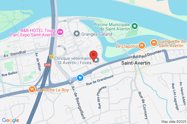 A L'orthese/Du Pied