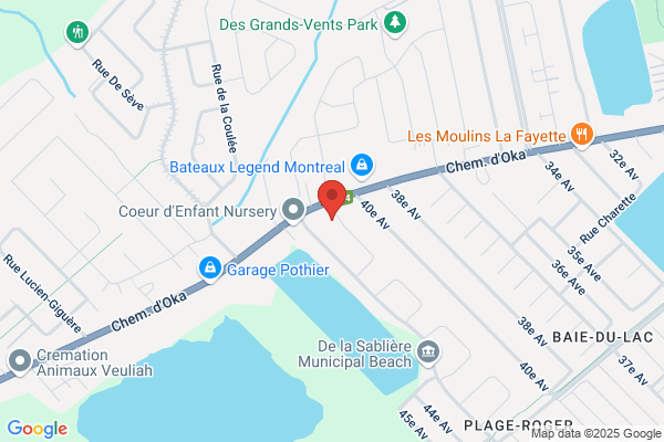 ADP Abattage d'Arbres