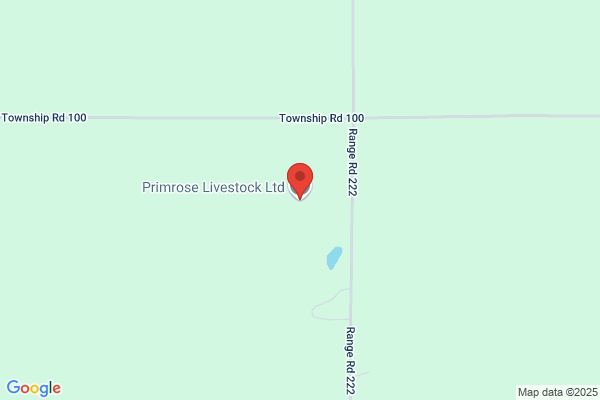 Primrose Livestock Ltd