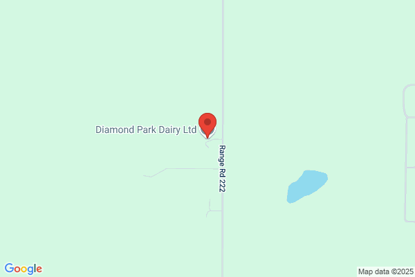 Diamond Butte Cattle Co Ltd
