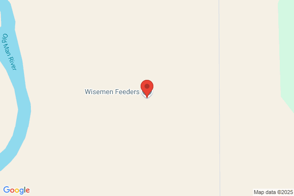 Wiseman Feeders Ltd