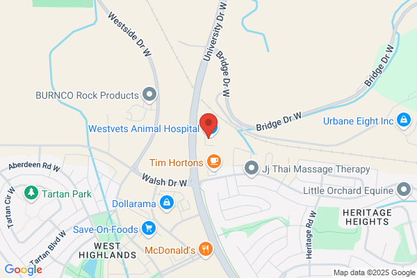 West Family Dental